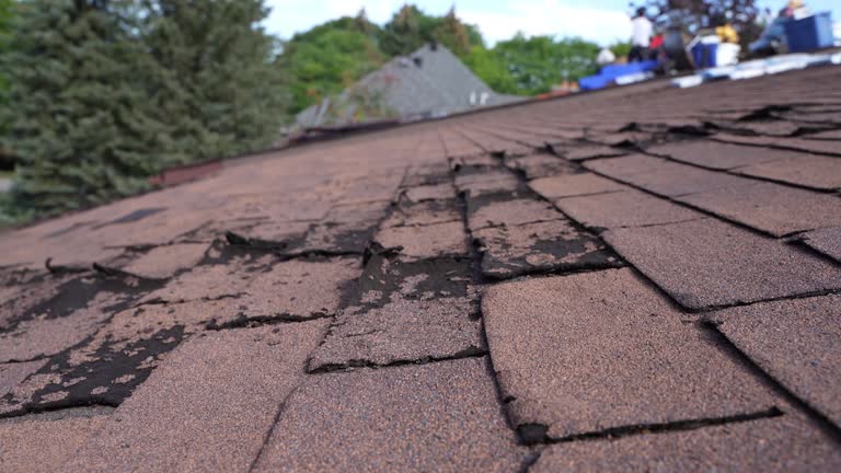 Best Steel Roofing  in Whitney, SC