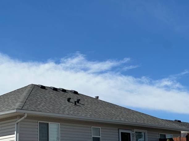 Asphalt Shingles Roofing in Whitney, SC
